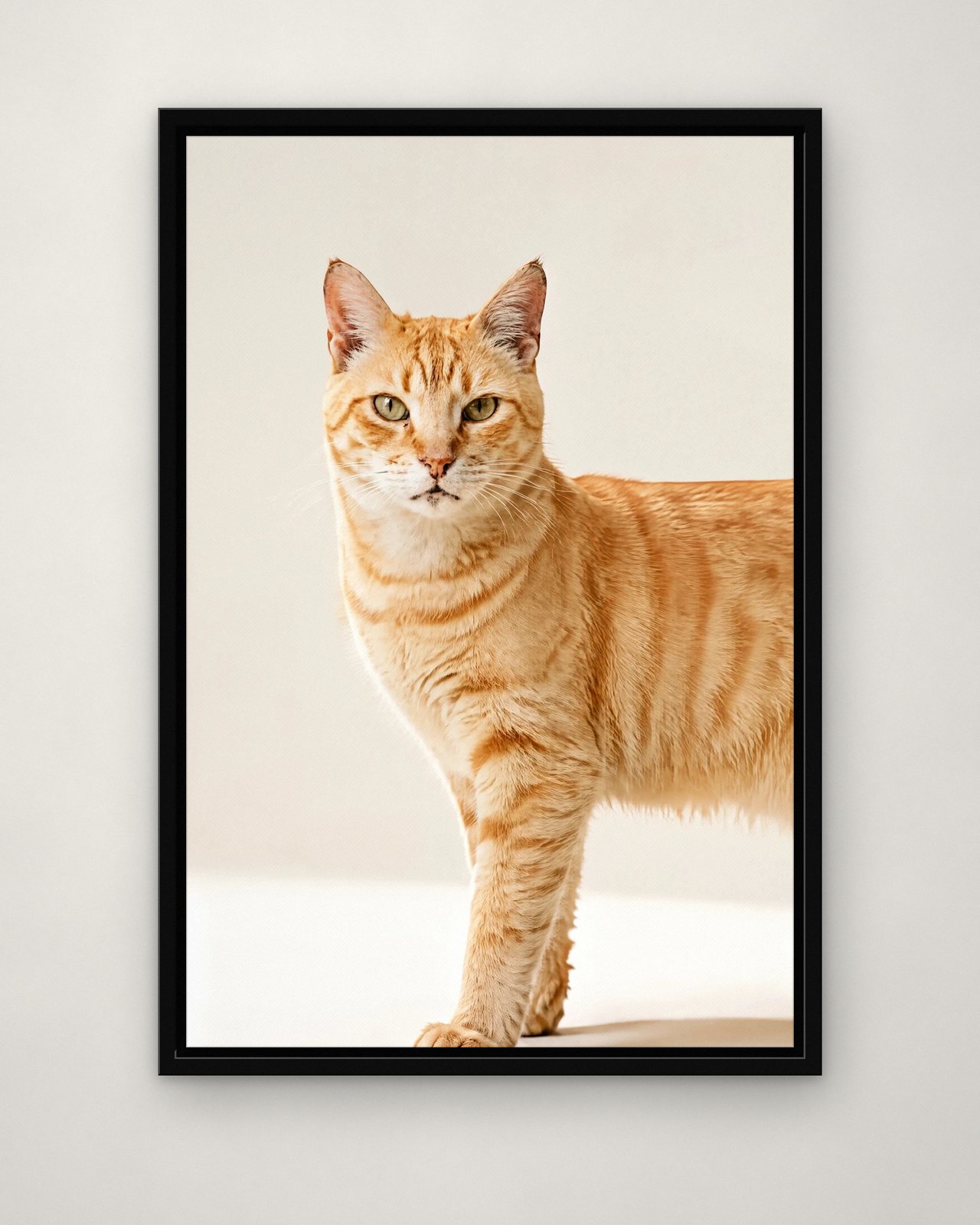 Best in Show portrait on canvas in a black floating frame on a plain wall