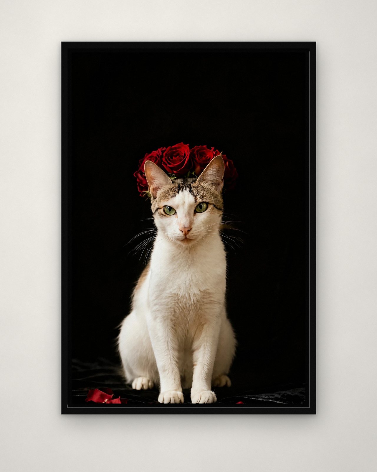 Midnight Roses portrait on canvas in a black floating frame on a plain wall