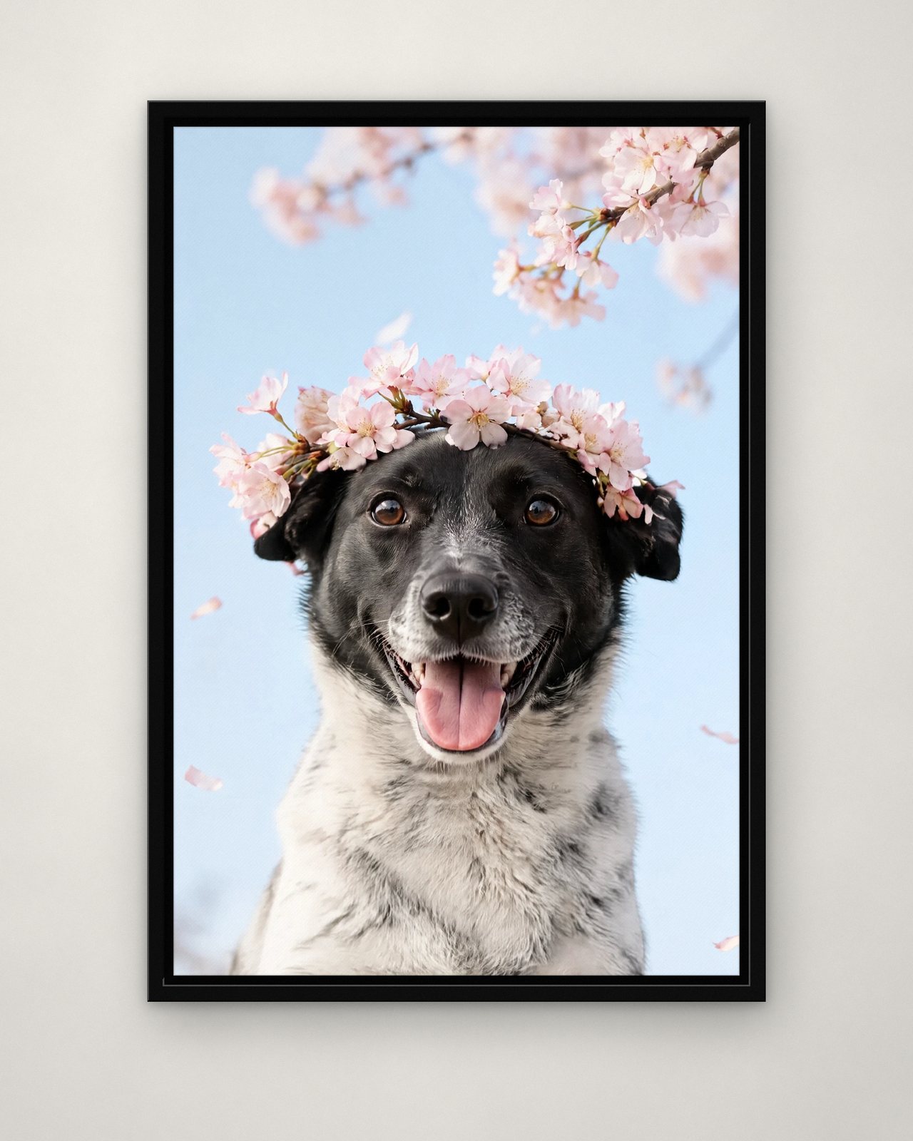 Cherry Blossom portrait on canvas in a black floating frame on a plain wall