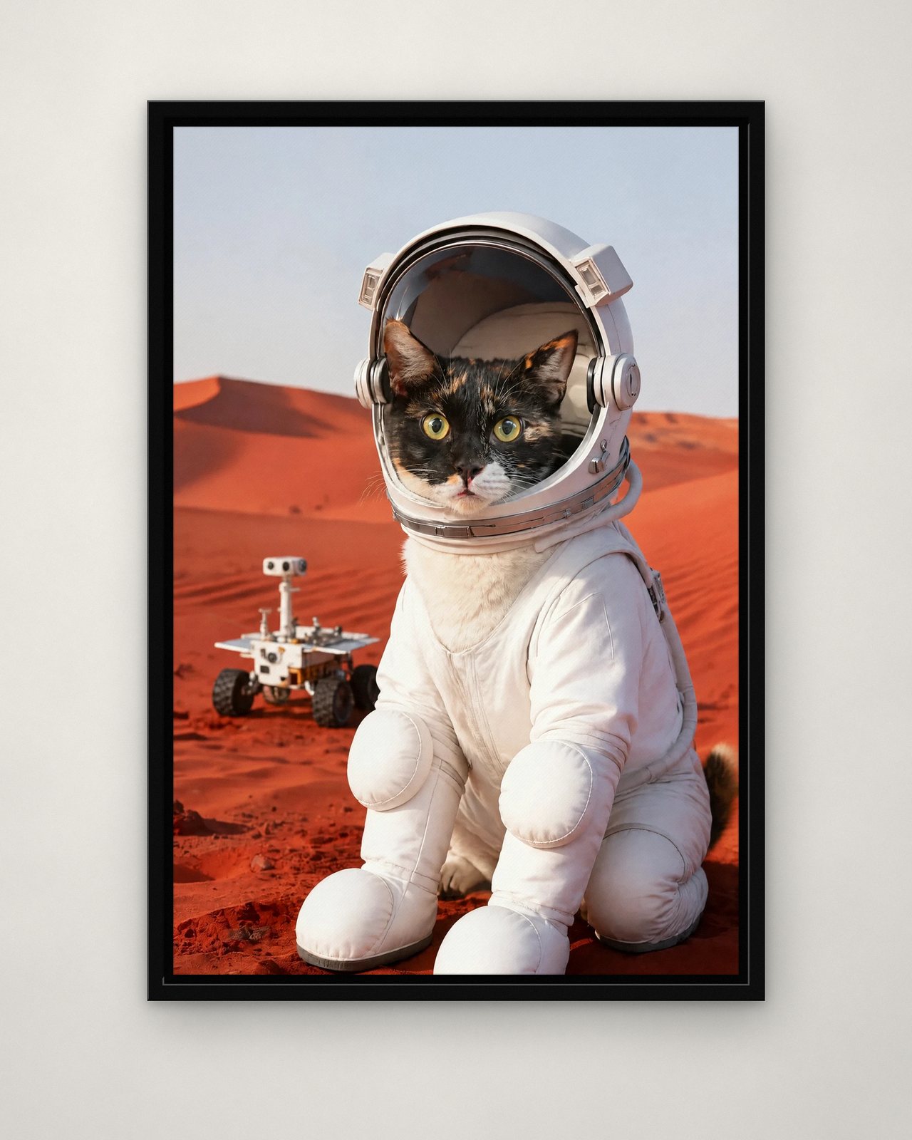 Red Planet portrait on canvas in a black floating frame on a plain wall