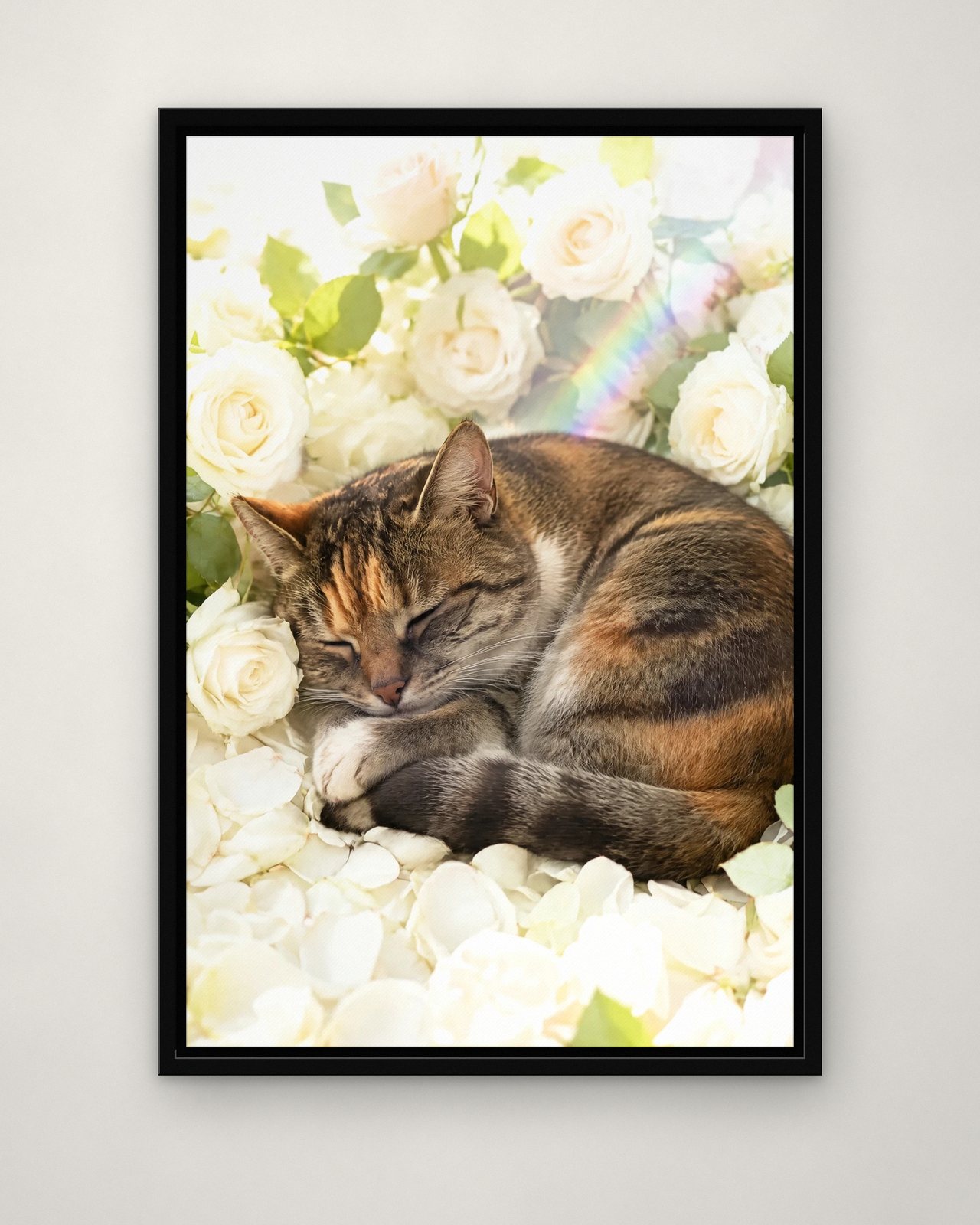 White Roses portrait on canvas in a black floating frame on a plain wall