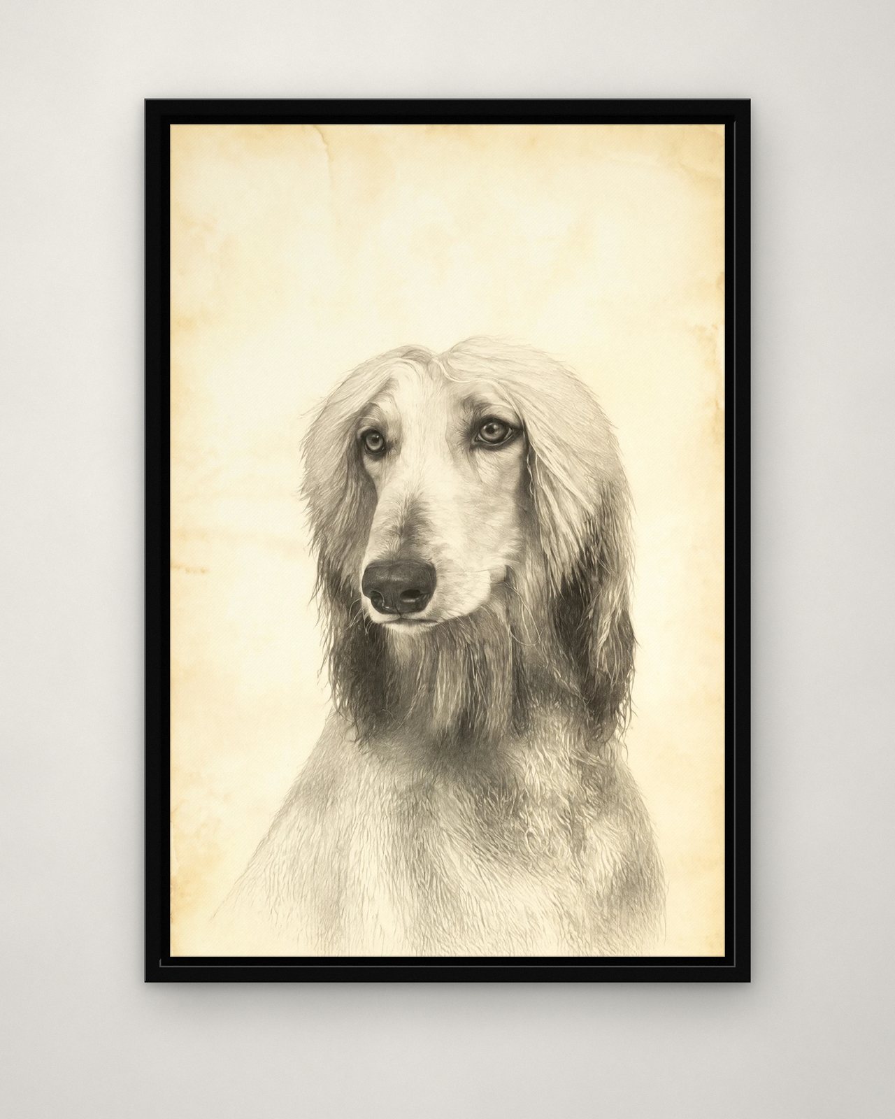 Pencil Sketch portrait on canvas in a black floating frame on a plain wall