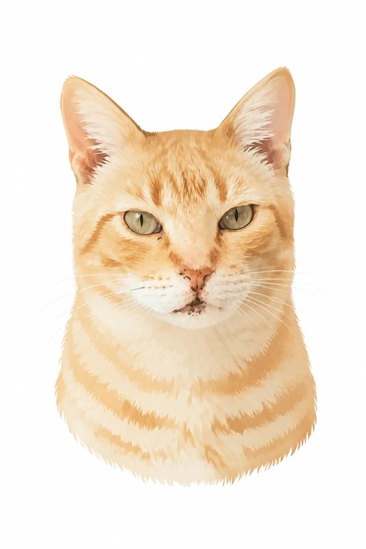 The Simply You look made with a ginger tabby cat