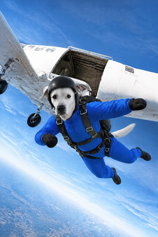 The Plane Jump look made with a white boxer mix