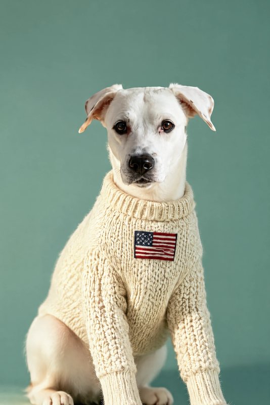 The Fourth of July Knit look made with a white boxer mix