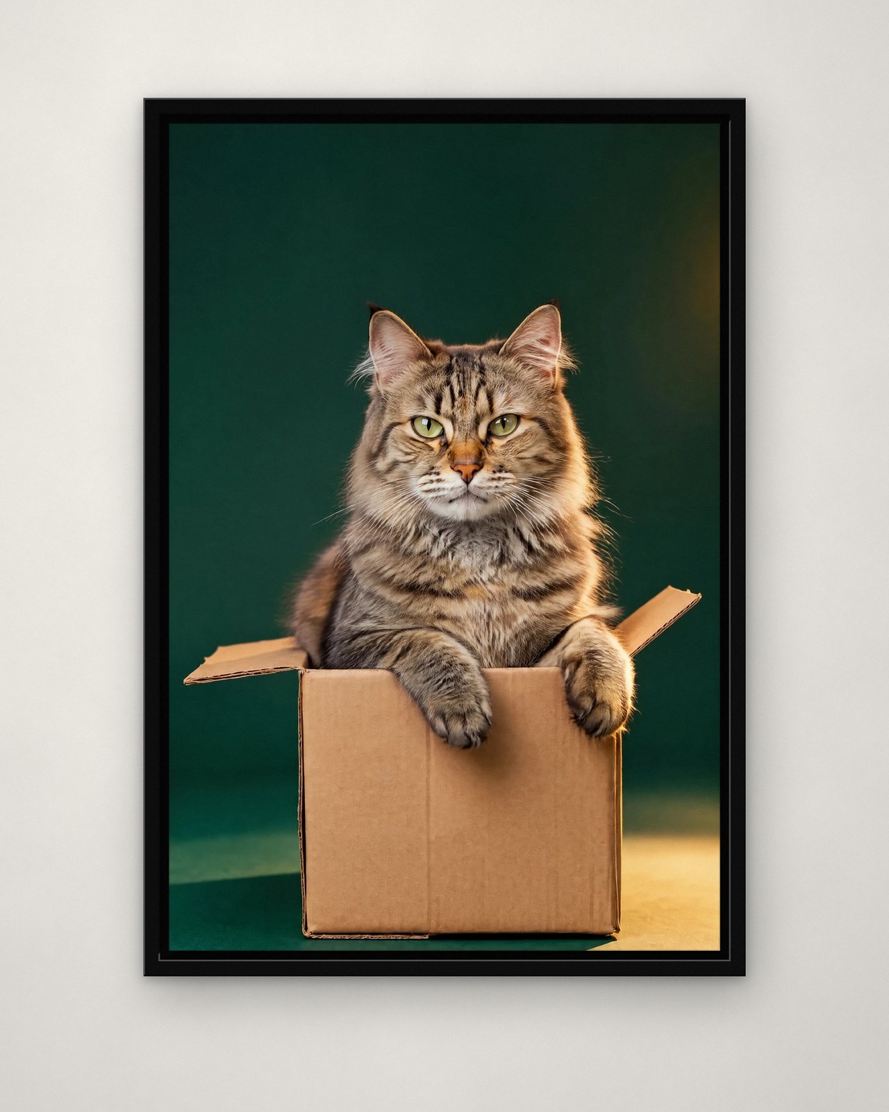 Box Too Small portrait on canvas in a black floating frame on a plain wall