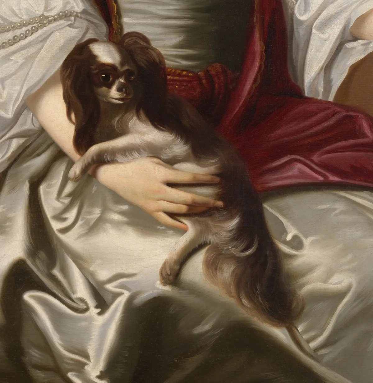 Detail of John Singleton Copley's portrait of Mrs Jerathmael Bowers showing a King Charles spaniel lying across her lap